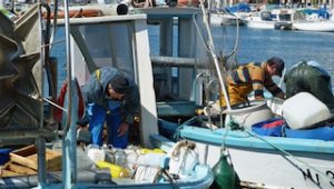 Marseille Fishermen Bringing In Daily Catch
